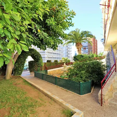Piscis 12-8 Apartment Benidorm
